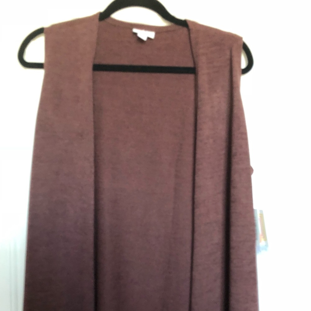 LuLaRoe sweater Joy BNWT